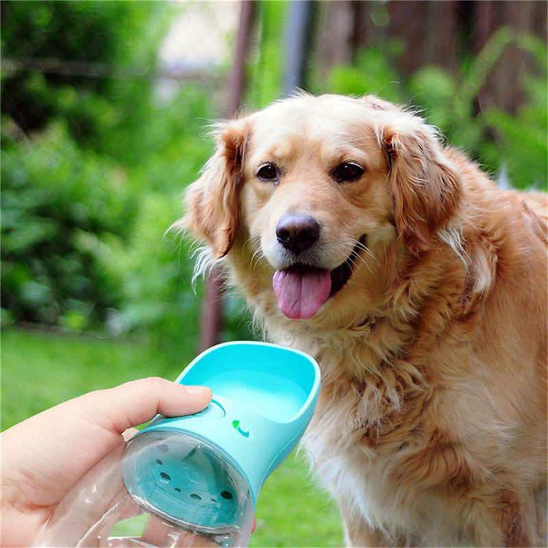 Gourde d'eau pour animaux PetZen™  🐶💧